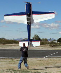 big rc airplanes for sale